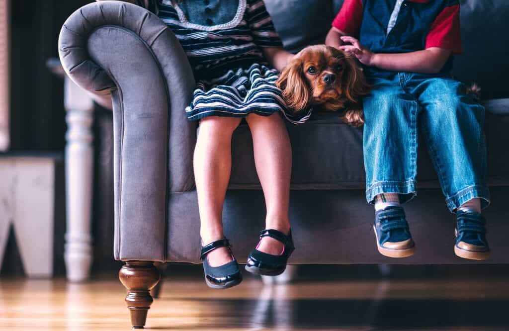 feet of children sitting on sofa with dog