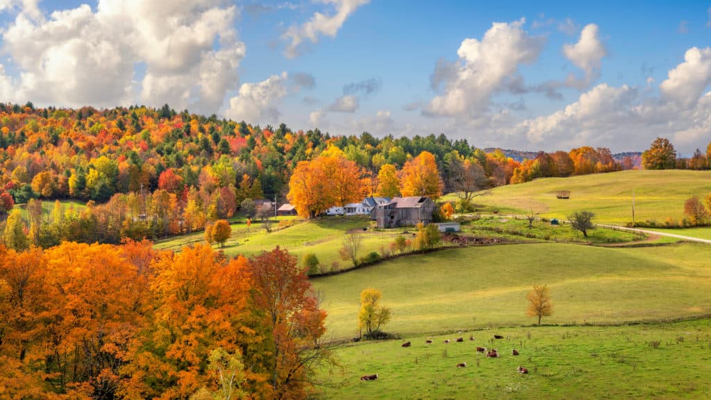 AdobeStock_347593623