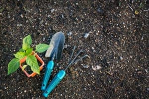 AdobeStock_104942508