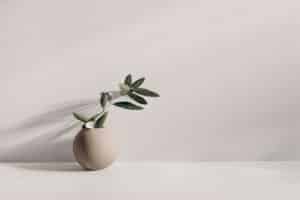 AdobeStock_423604126-scaled.jpeg