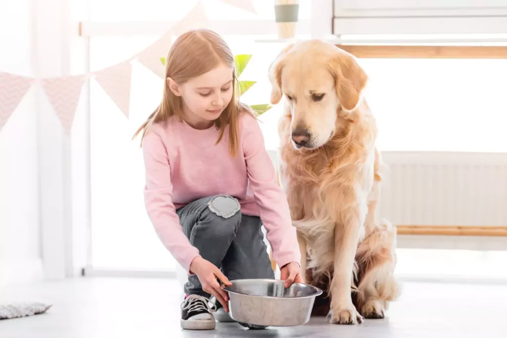 responsible kid feeding her dog